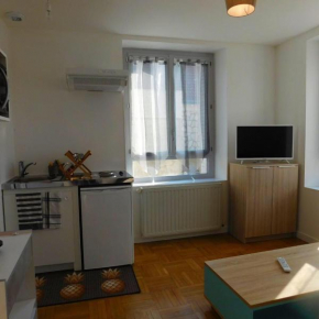 Appartement situé en centre ville de Saint Aignan